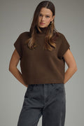 A Classic Touch Sleeveless Sweater in Brown