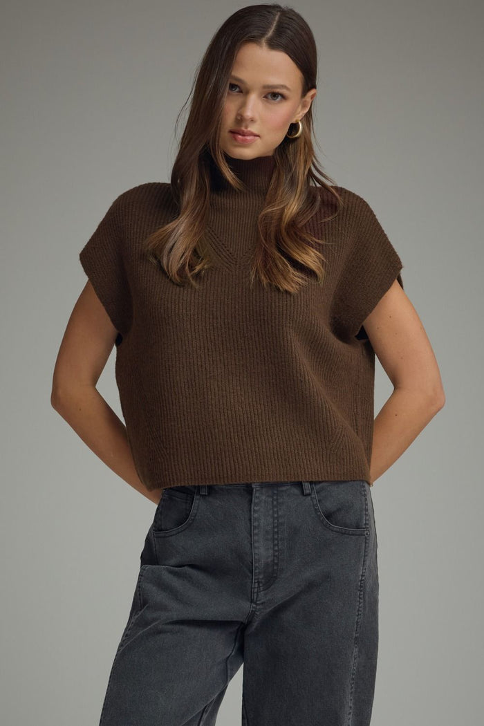A Classic Touch Sleeveless Sweater in Brown
