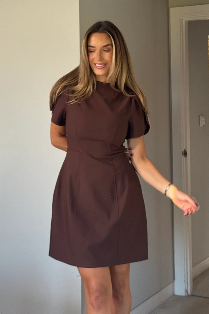 Ami Tulip Sleeve High Neck Dress (Brown)