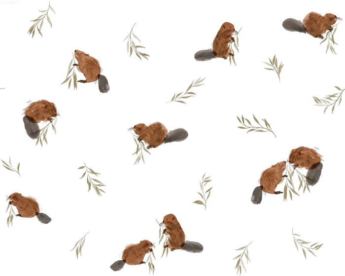 Beavers - Family Fabrics B.V.
