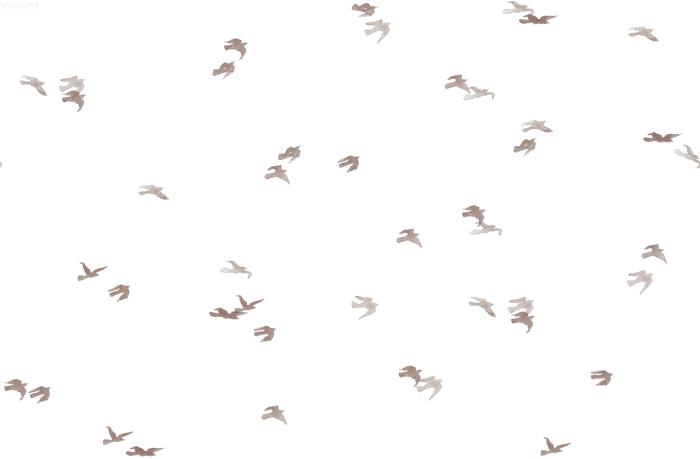 Birdflight Snowwhite Grey - Family Fabrics B.V.
