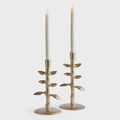 Brier Taper Holders Set Of 2