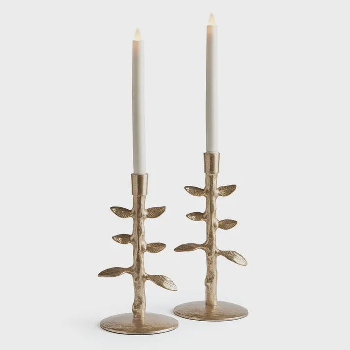 Brier Taper Holders Set Of 2