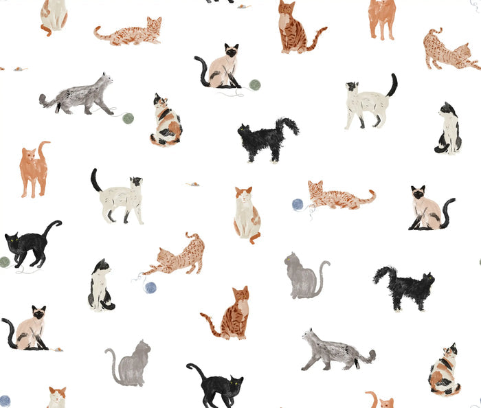 Cats - Family Fabrics B.V.