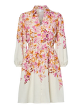 Cleo Long Sleeve Mini Dress (Birch/Cleo Print)