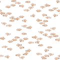 Clown Fish - Family Fabrics B.V.