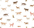 Dogs - Family Fabrics B.V.