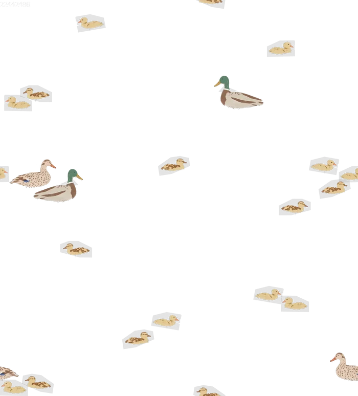 Ducks - Family Fabrics B.V.