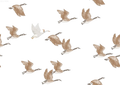 Geese - Family Fabrics B.V.