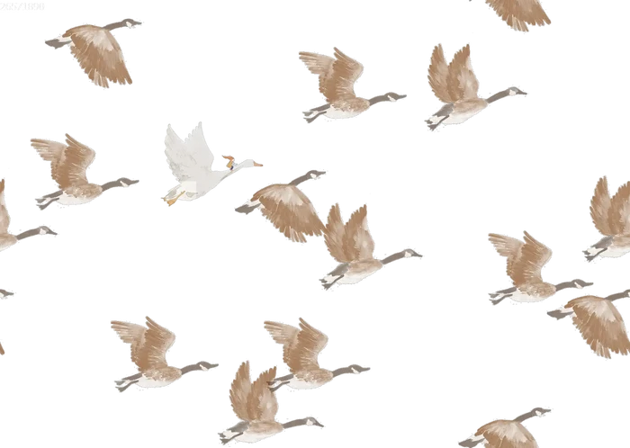 Geese - Family Fabrics B.V.