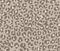 Leopard Spots Greige Medium - Family Fabrics B.V.