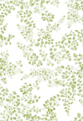 Maidenhair - Family Fabrics B.V.