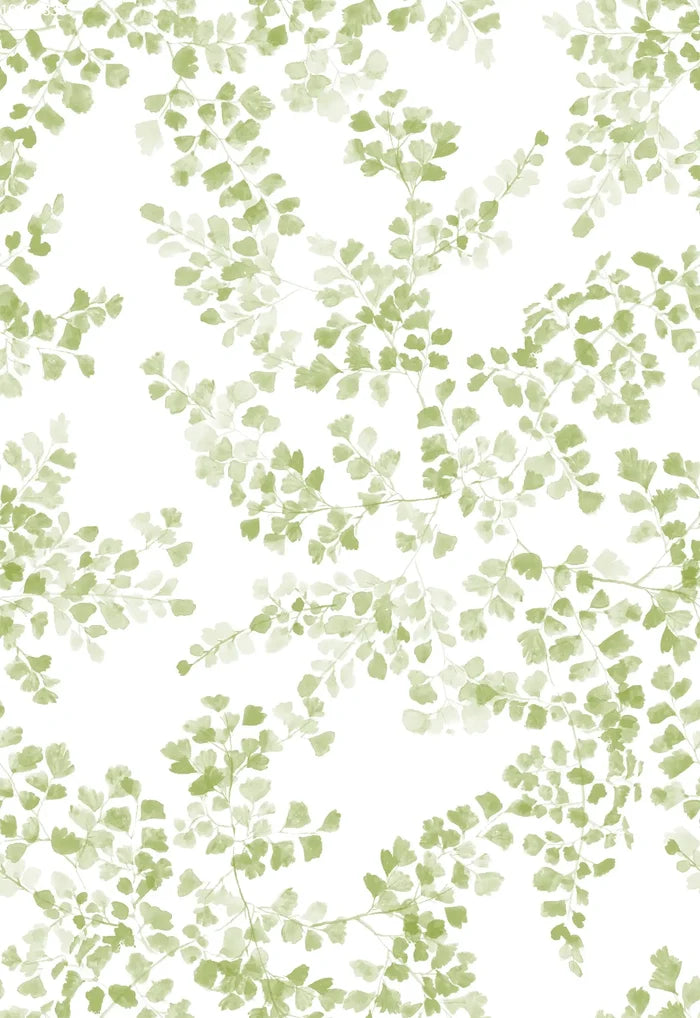 Maidenhair - Family Fabrics B.V.