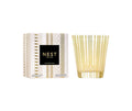 Nest Fragrances Classic Candle in Winter Chai