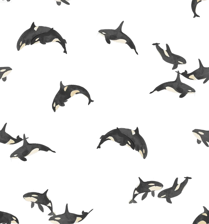 Orca Off White - Family Fabrics B.V.