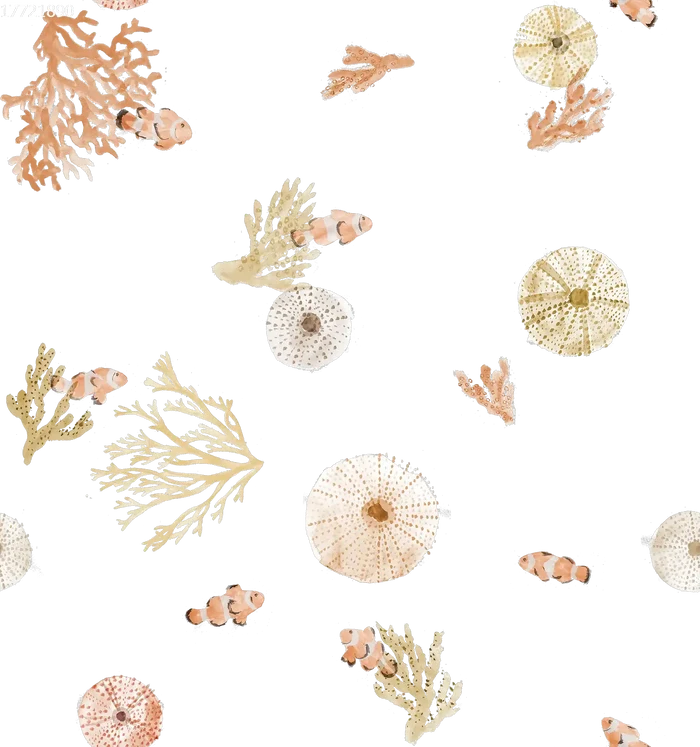 Sea Urchin - Family Fabrics B.V.