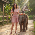 Pink Elephants / Small