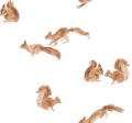 Squirrels Off White - Family Fabrics B.V.