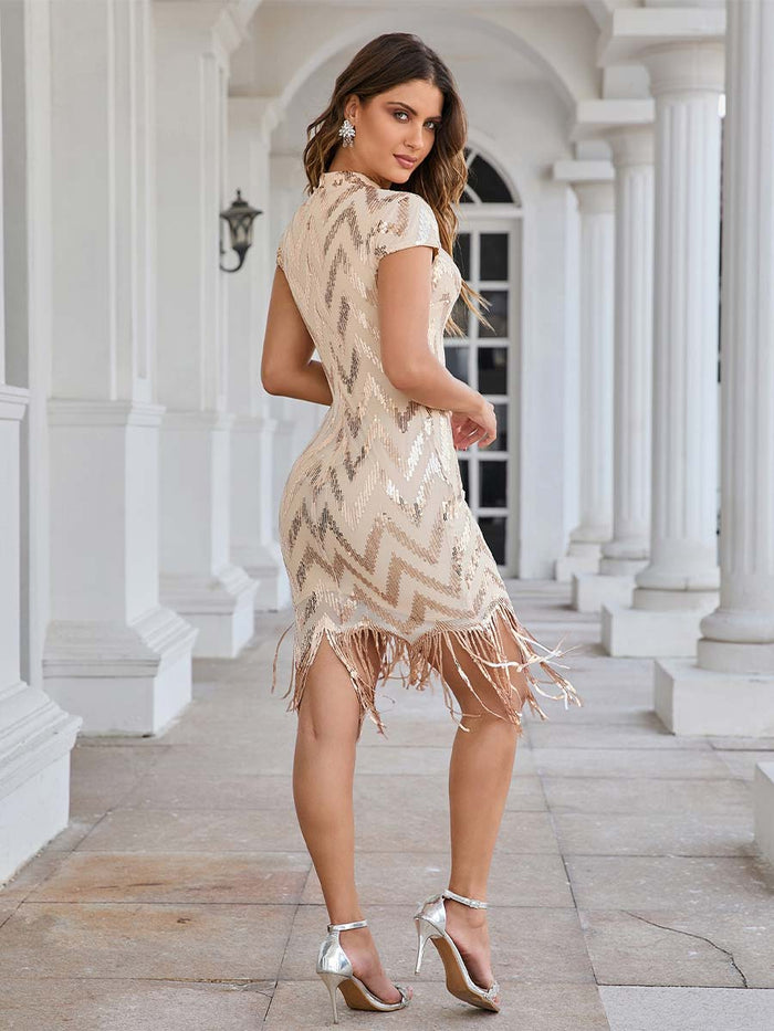 Stand Collar Cap Sleeve Fringe Sequin Dress