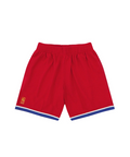 Washington Bullets 1996 NBA Swingman Shorts by Mitchell & Ness