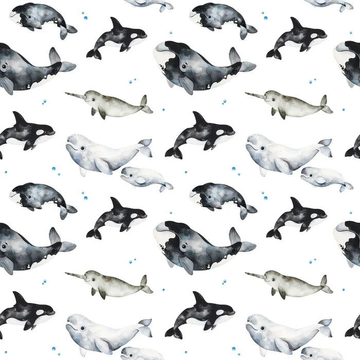 Whales - Family Fabrics B.V.